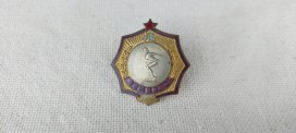 Медаль "Чемпион Ленинграда плавание"