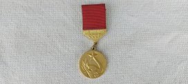 Медаль "Чемпион СССР" 